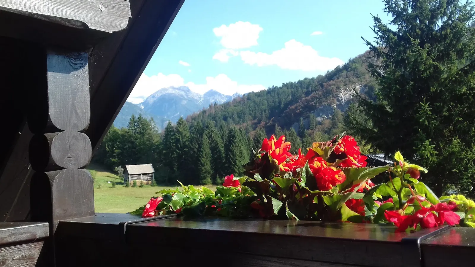 Rože na balkonu in razgled na gore