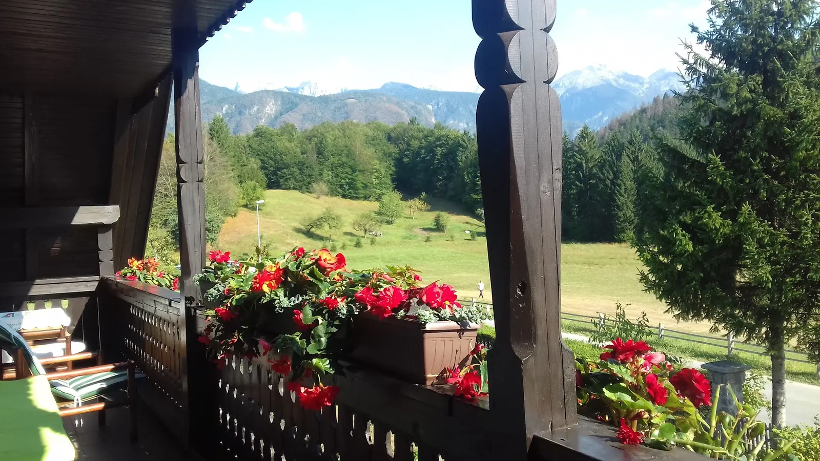Balkon z rdečimi rožami, spodaj travnik in gozd
