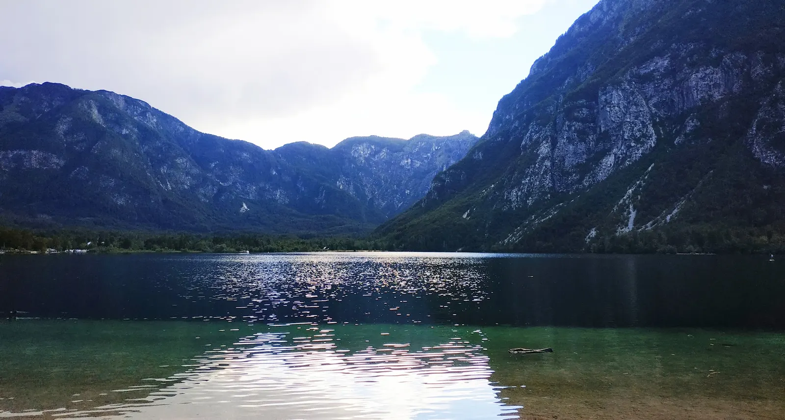 Bohinjsko jezero z gorami